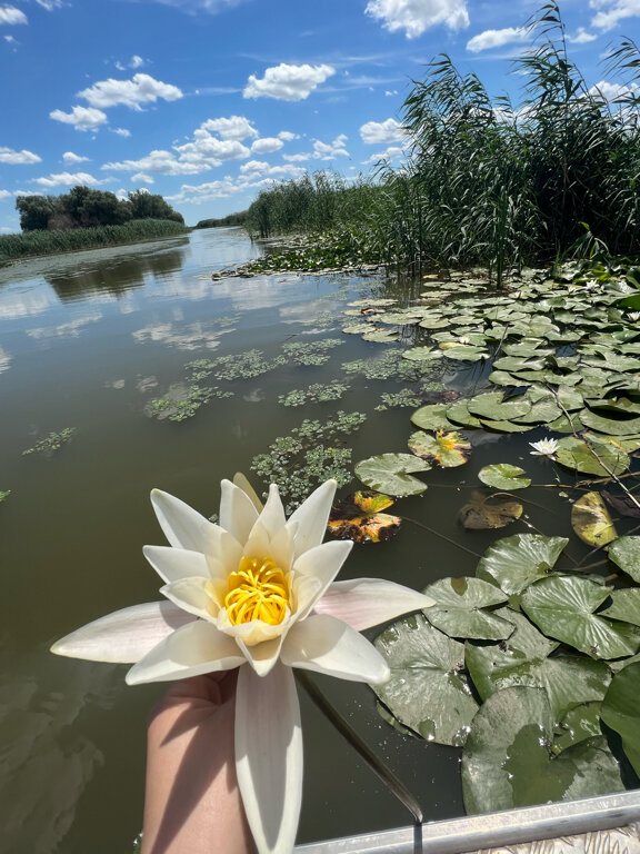 Фото Венеция на Каспии