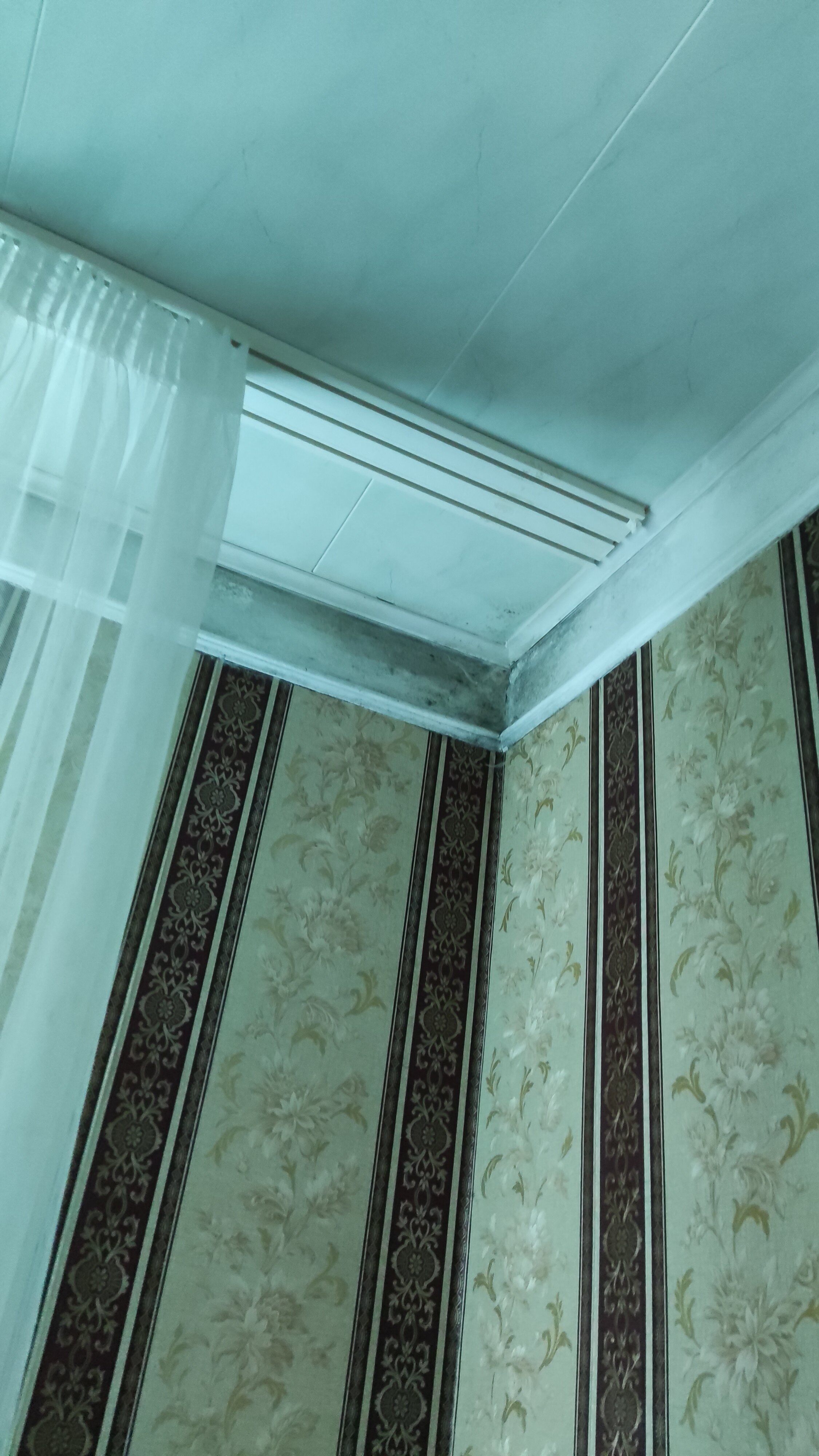 Фото Чыран-Чегет