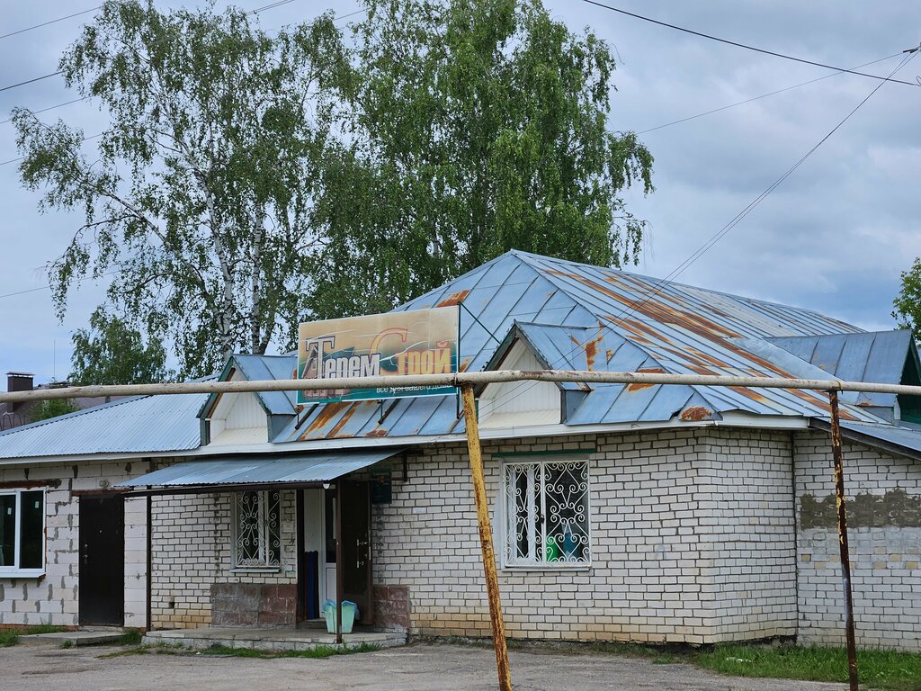 Строительный магазин Терем-Строй, Нижегородская область, фото