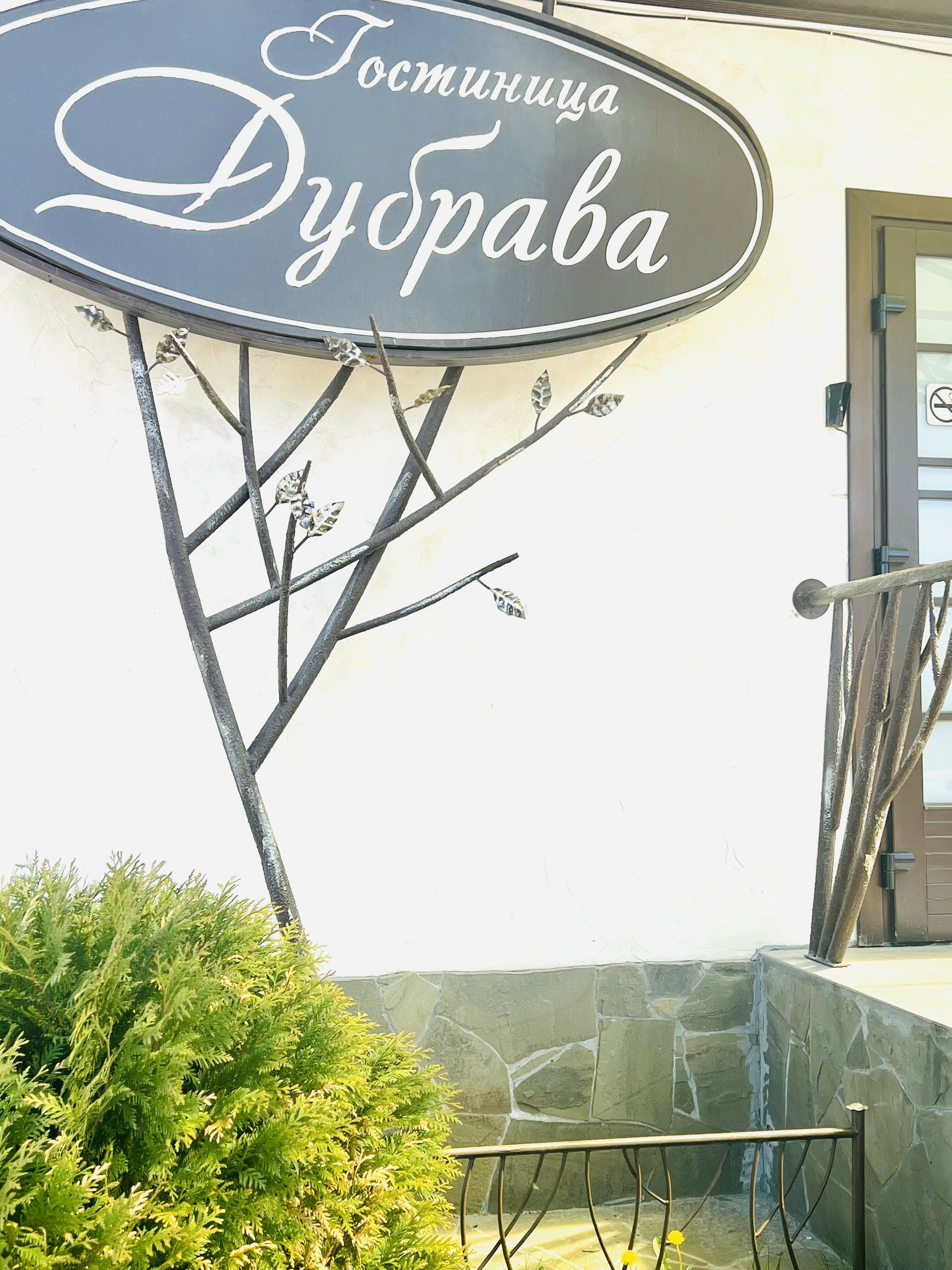 Фото Дубрава