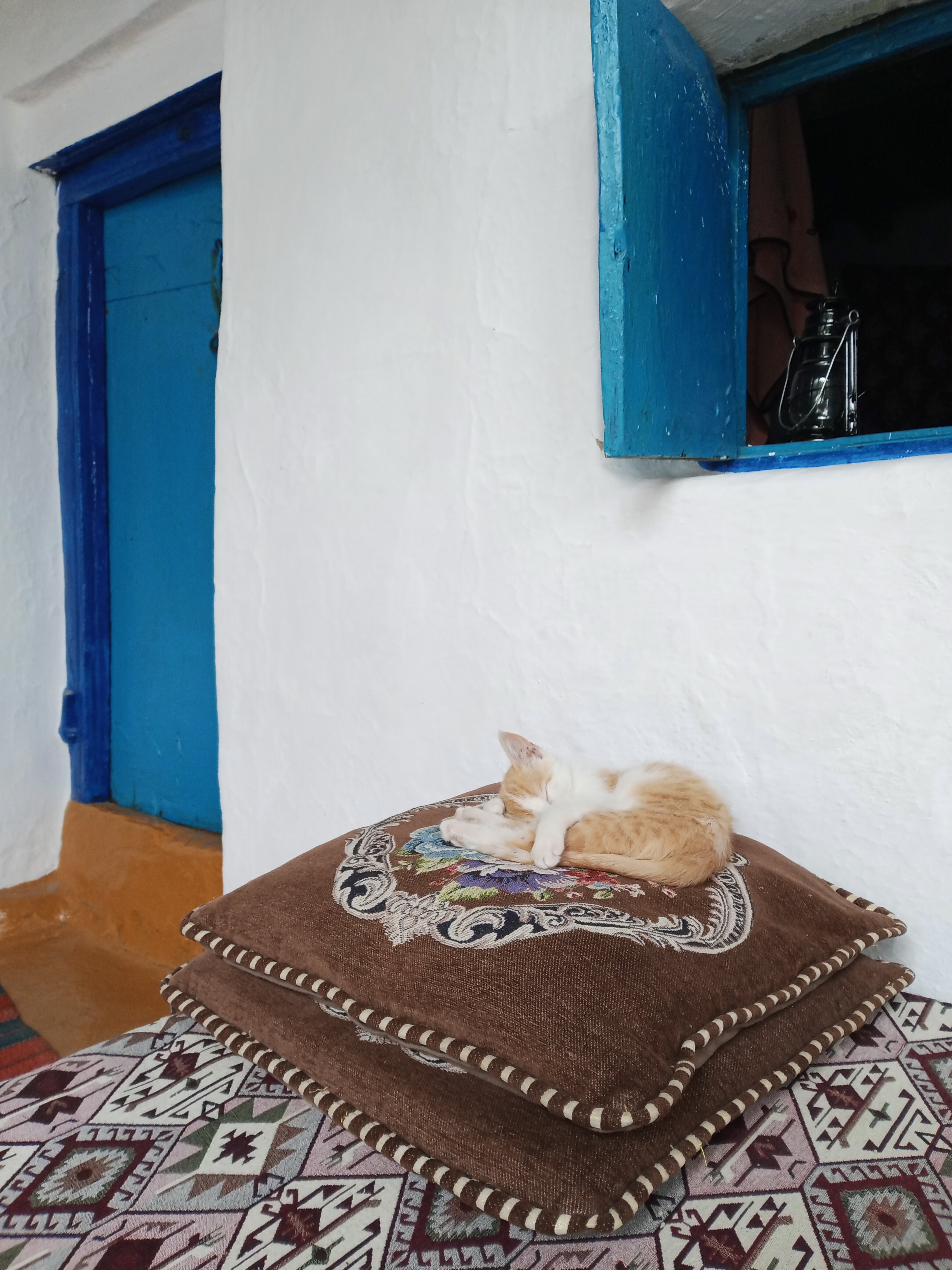 Фото МириДа