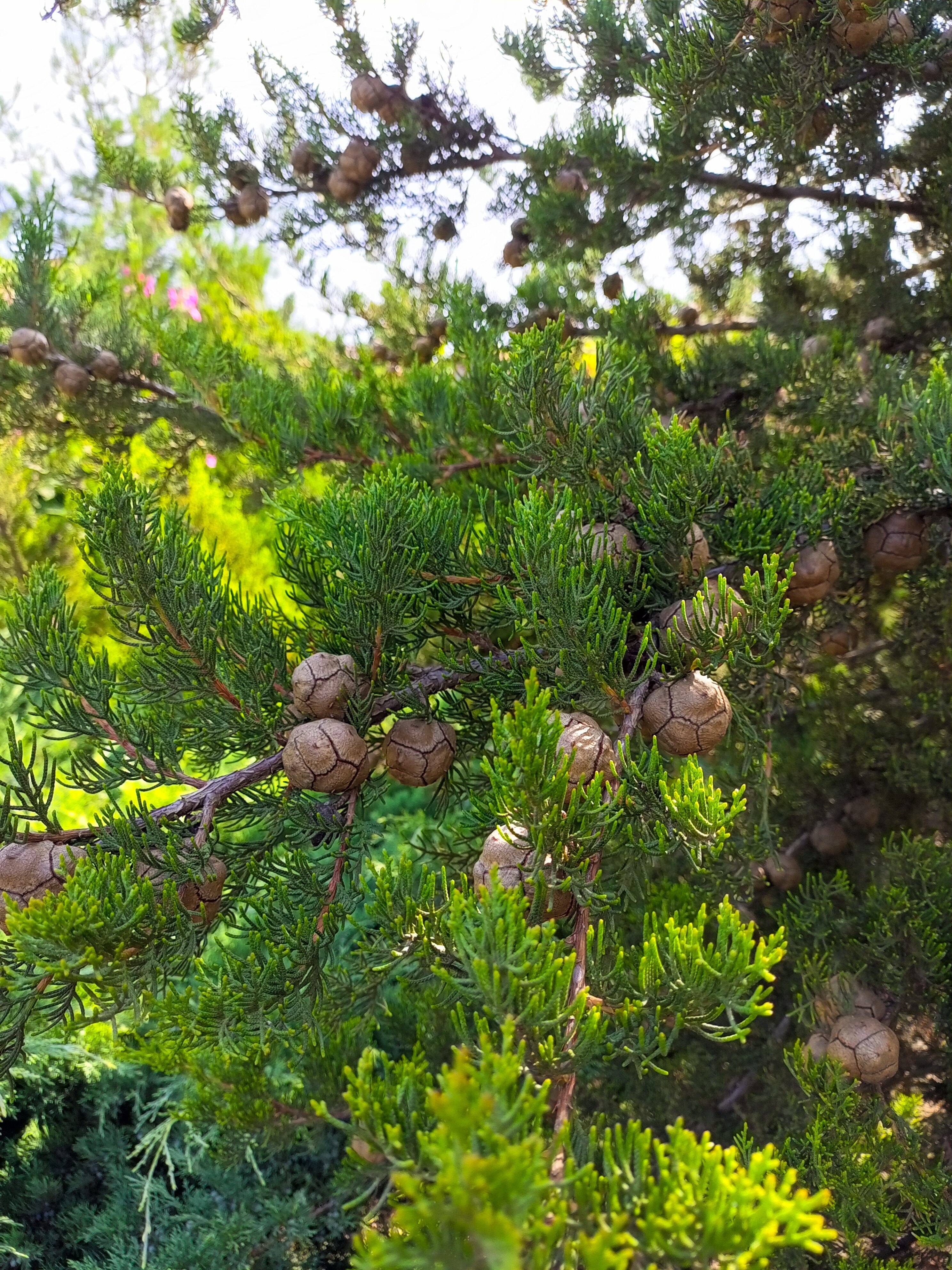 Фото Райский отдых