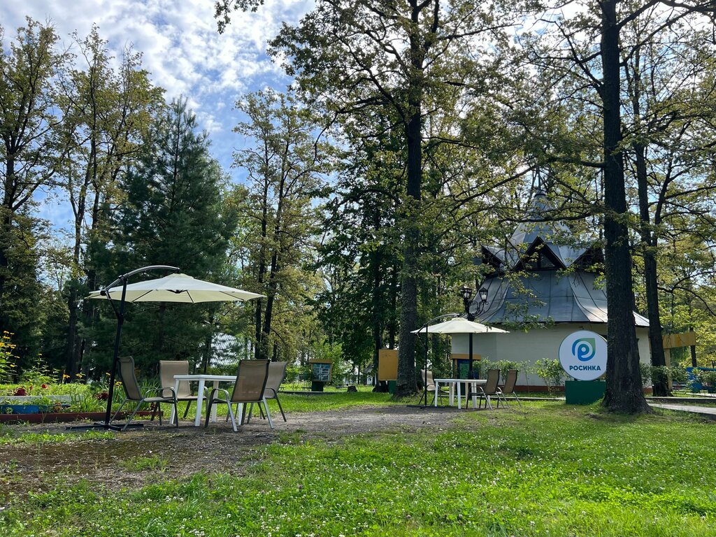 Summer camp Rosinka, Tambov Oblast, photo