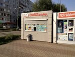 СибХолод (ул. Конева, 26/1, Омск), мороженое в Омске