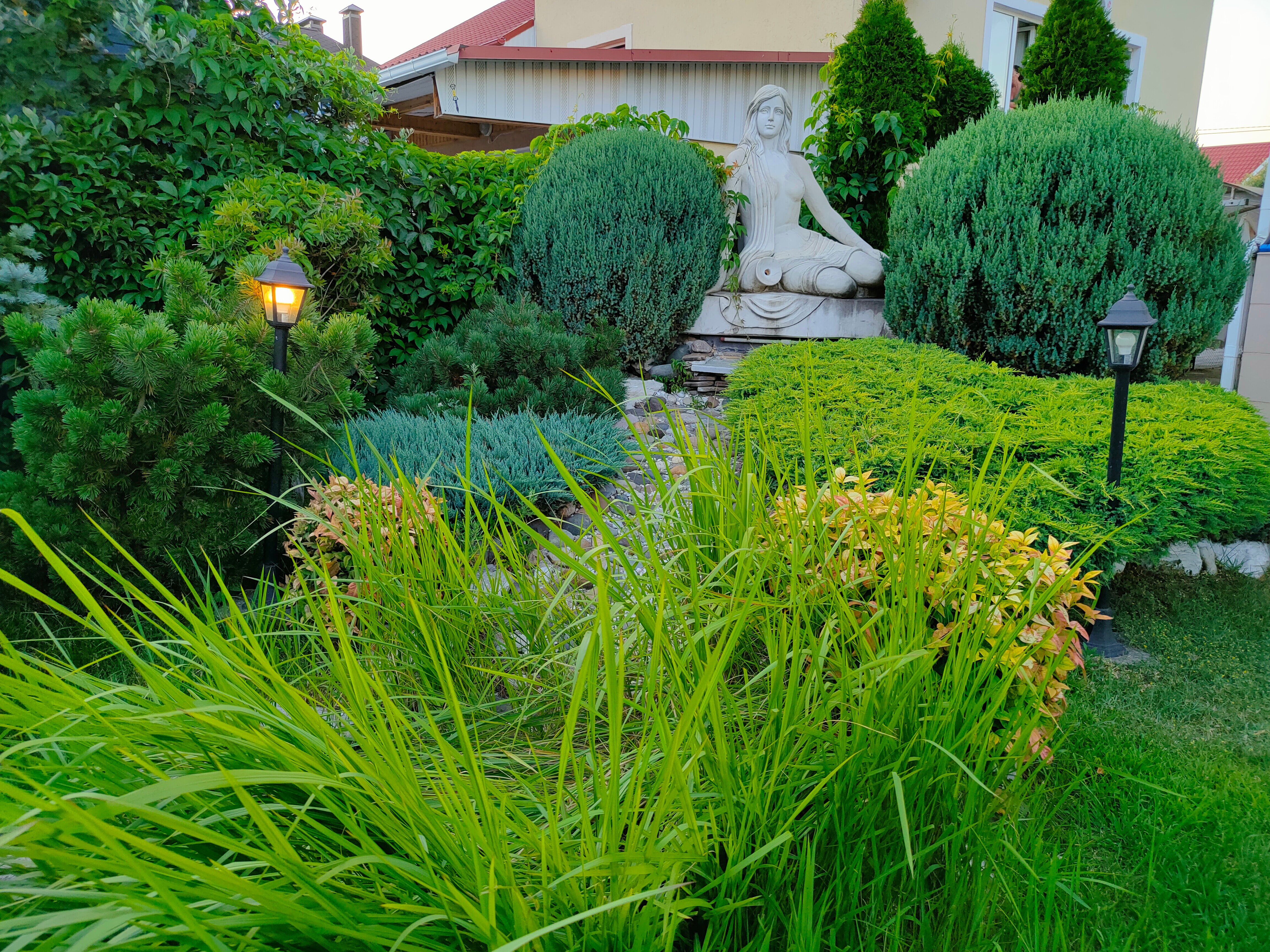 Фото Паруса