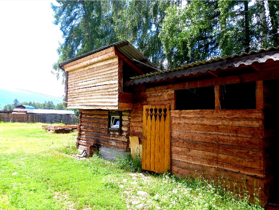 Фото Сказка