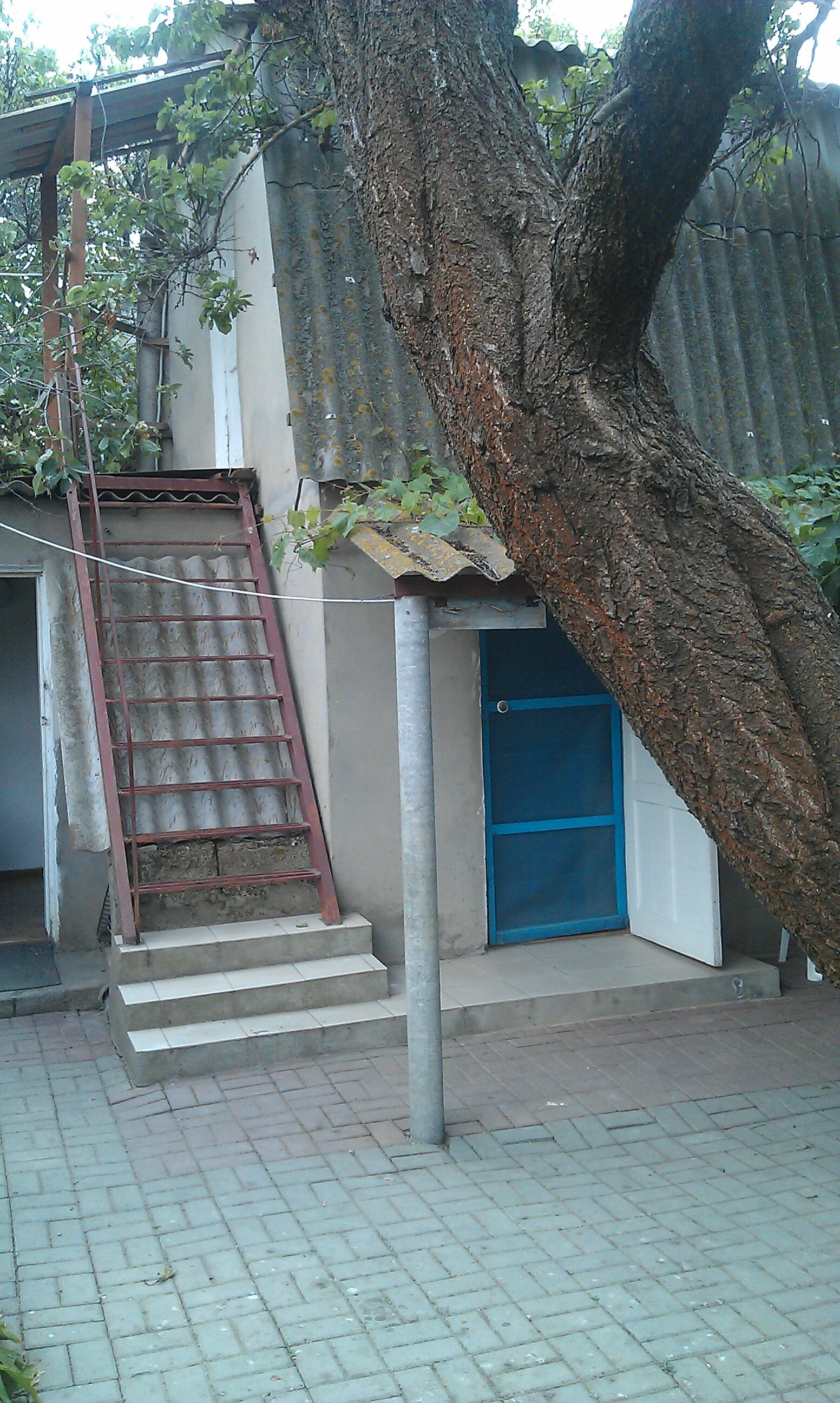 Фото Белая Чайка