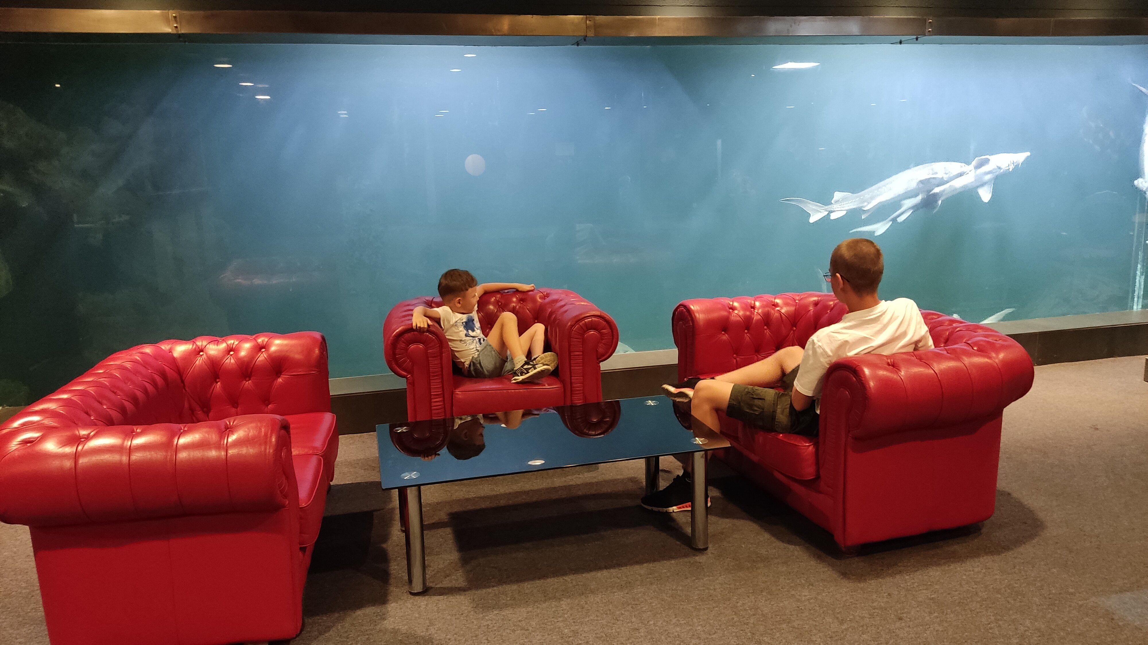 Фото Caspian Riviera Grand Palace