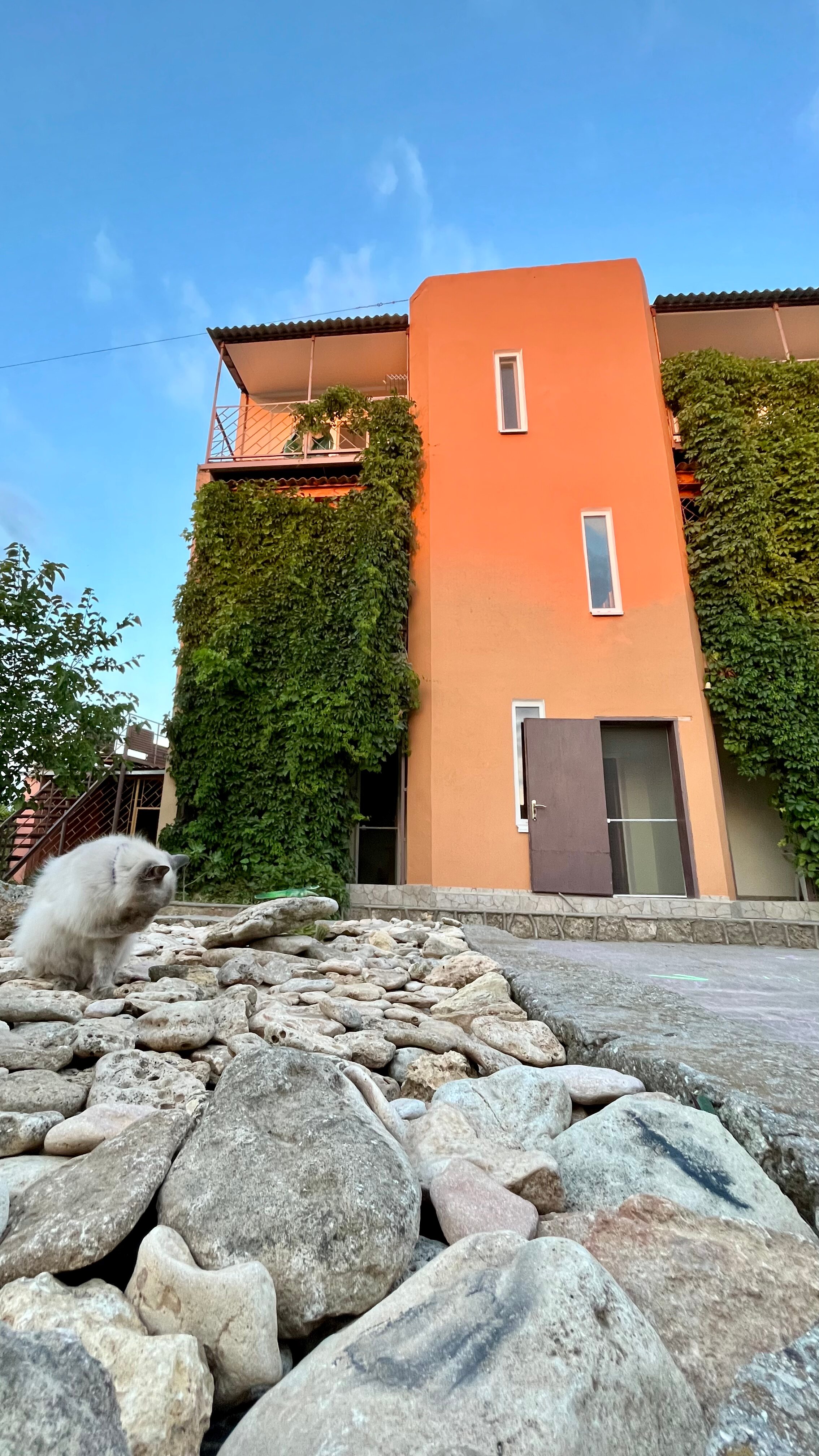 Фото Катран