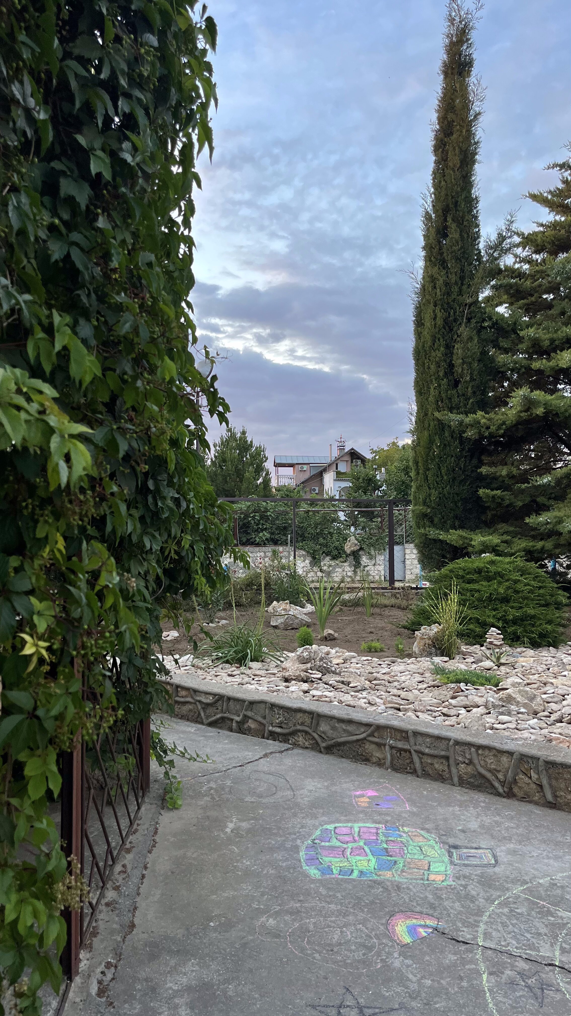 Фото Катран