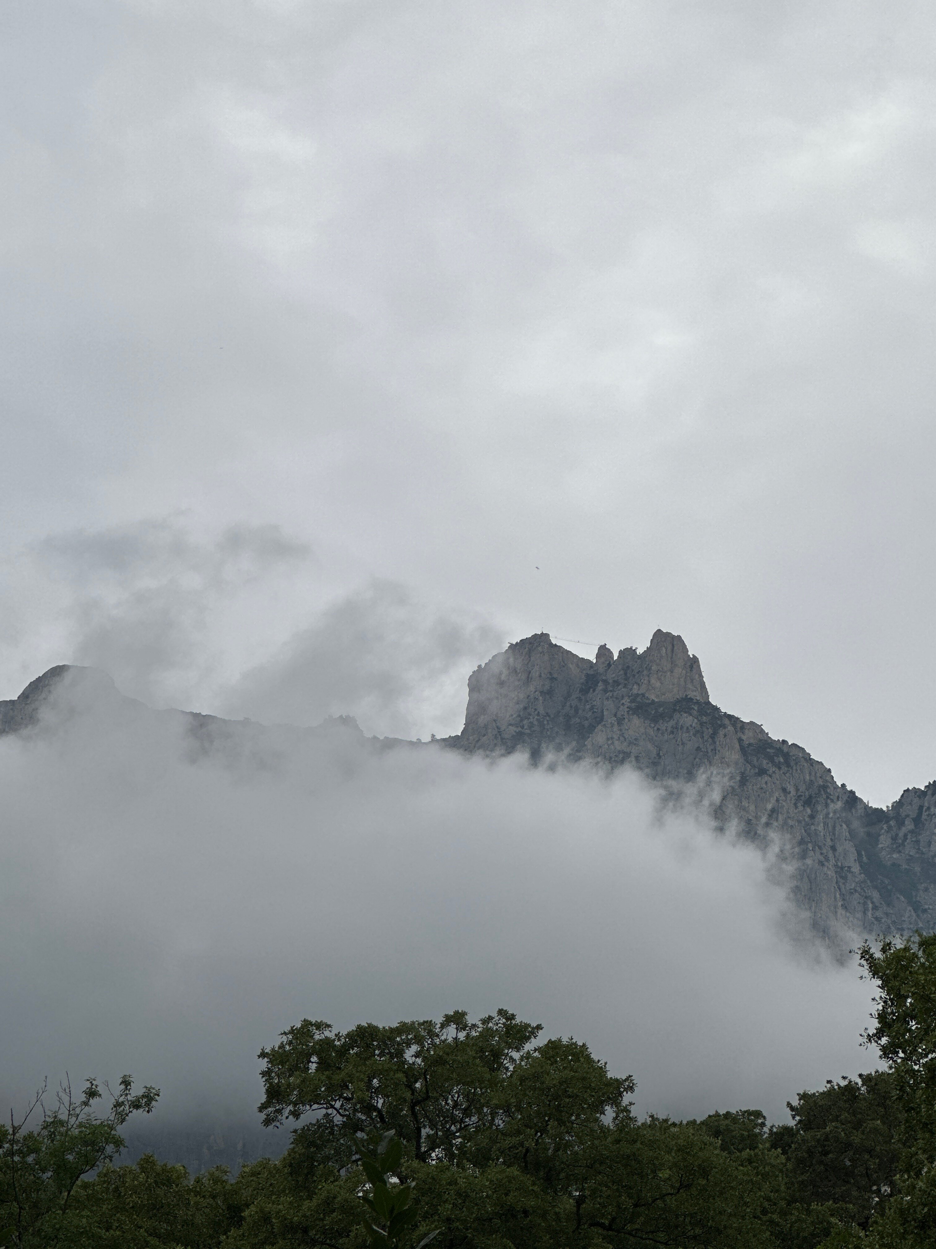 Фото Эль-Барко