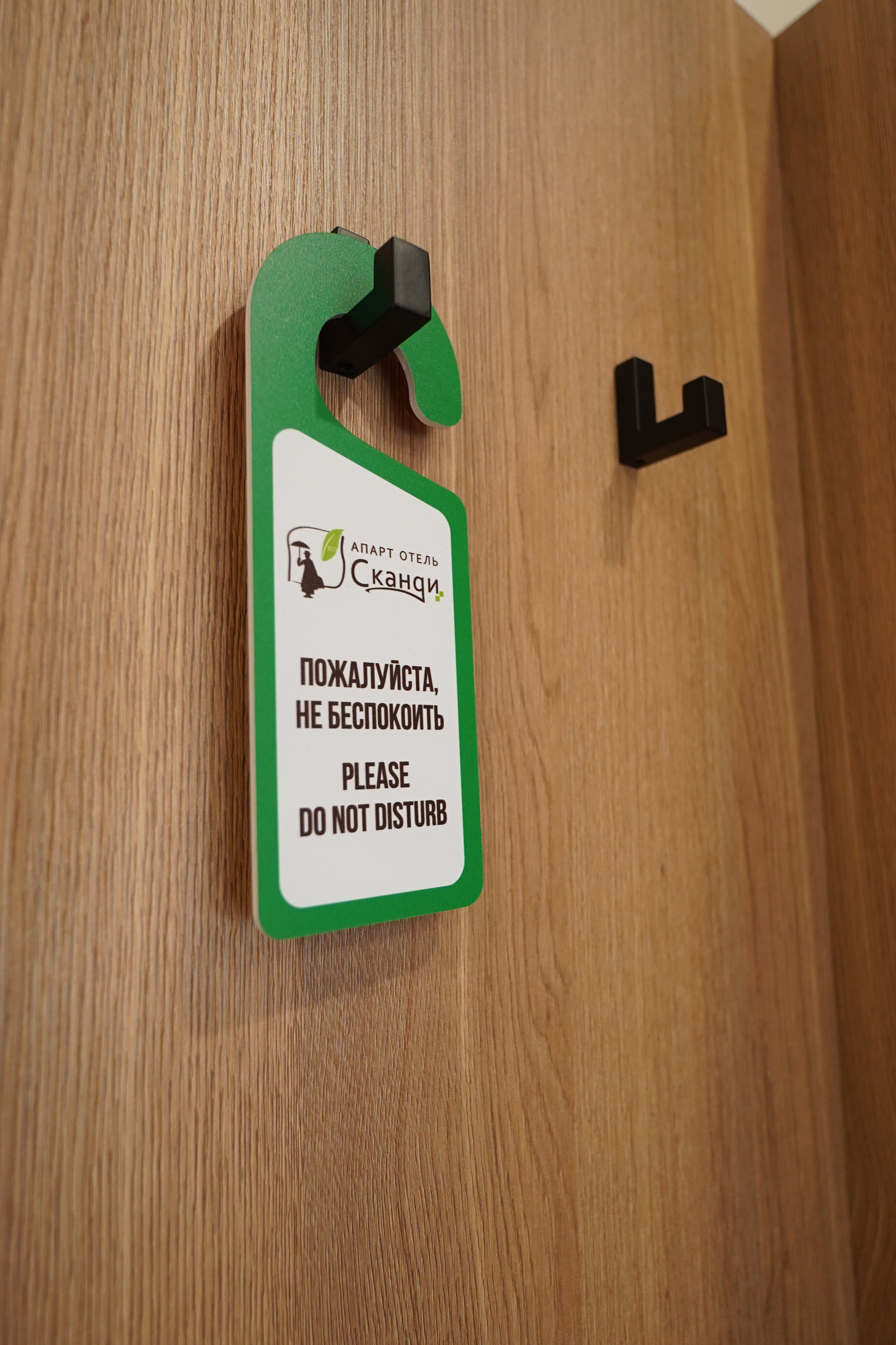 Фото Сканди