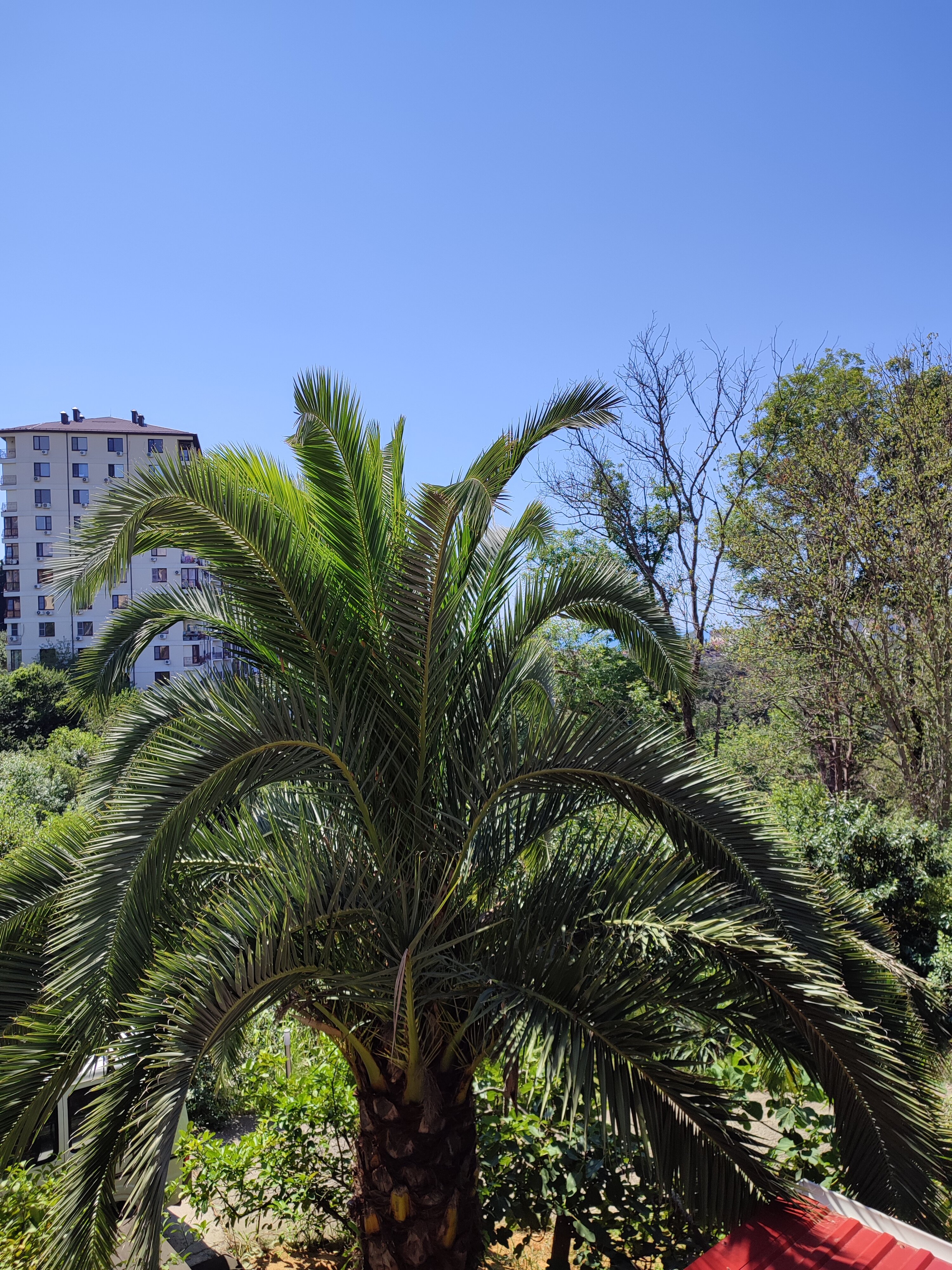 Фото Элит Хаус