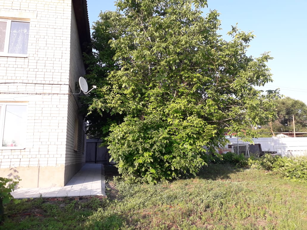 Фото Сосновая Стрит