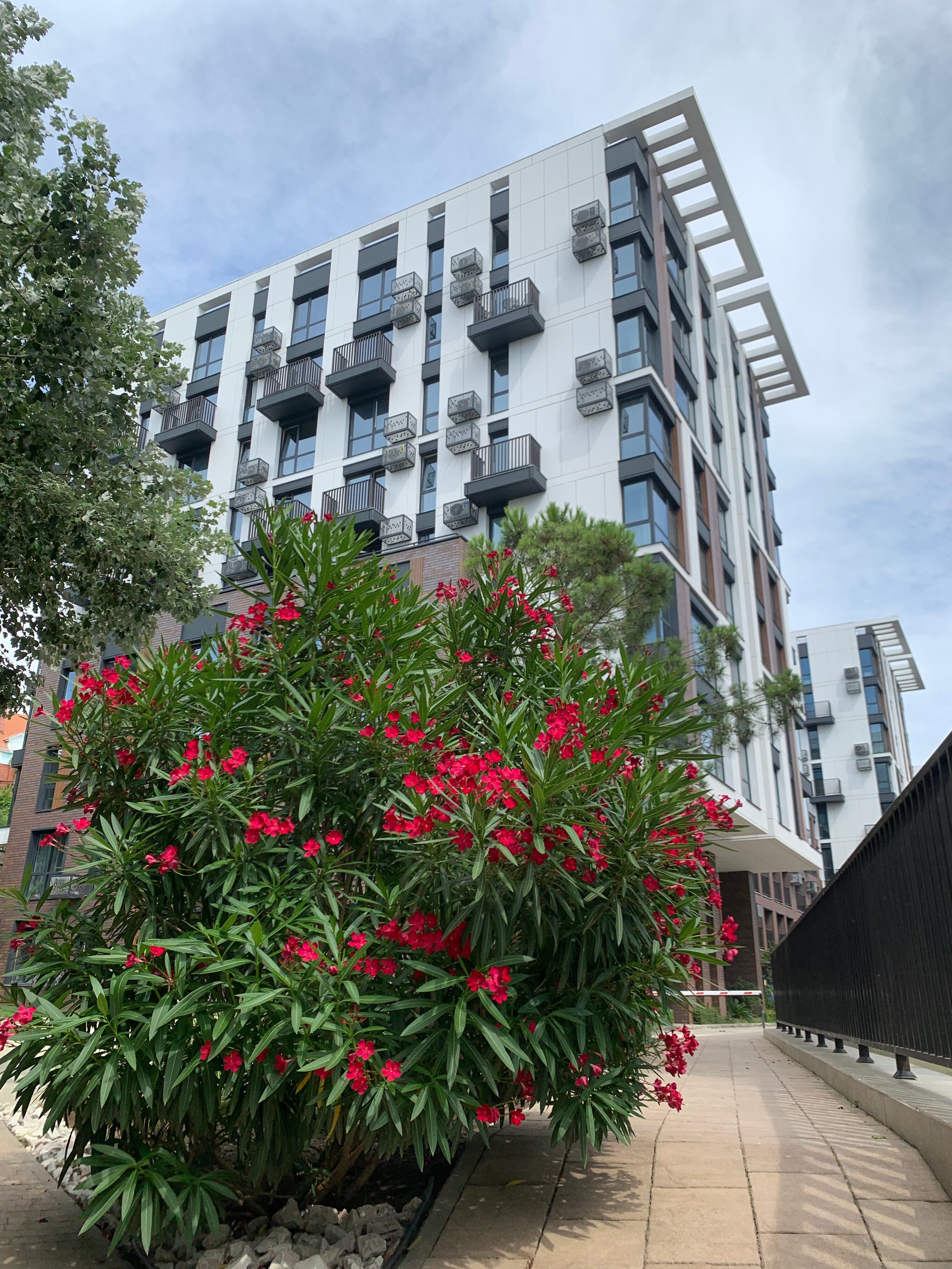 Фото Моравия