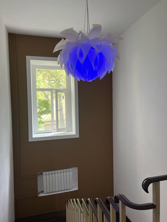 Фото Птица-Синица