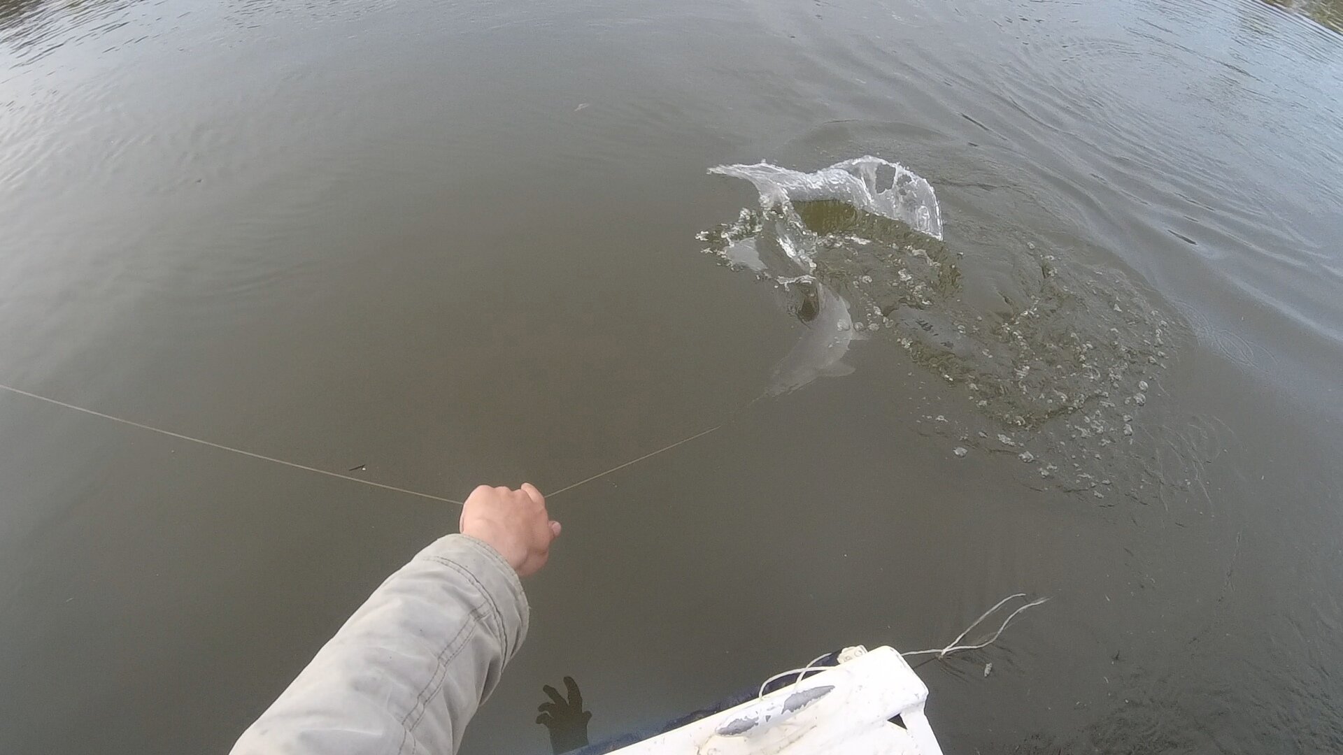 Фото Дикая Земля