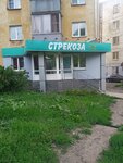 Стрекоза (ulitsa 40 let VLKSM, 2), stationery store