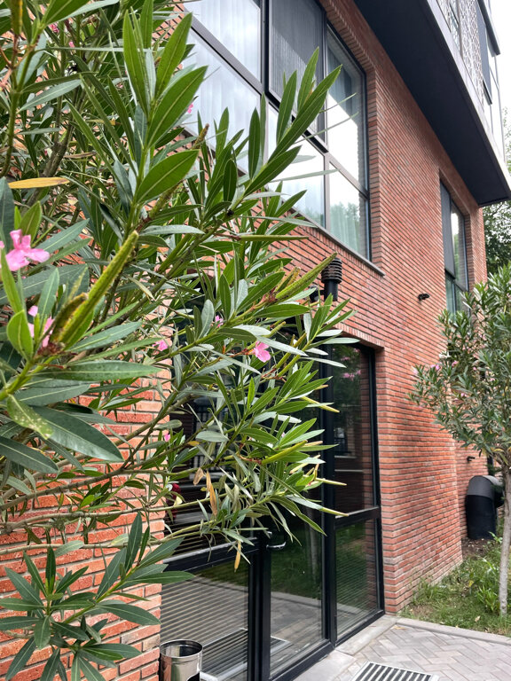 Фото Address Boutique Hotel