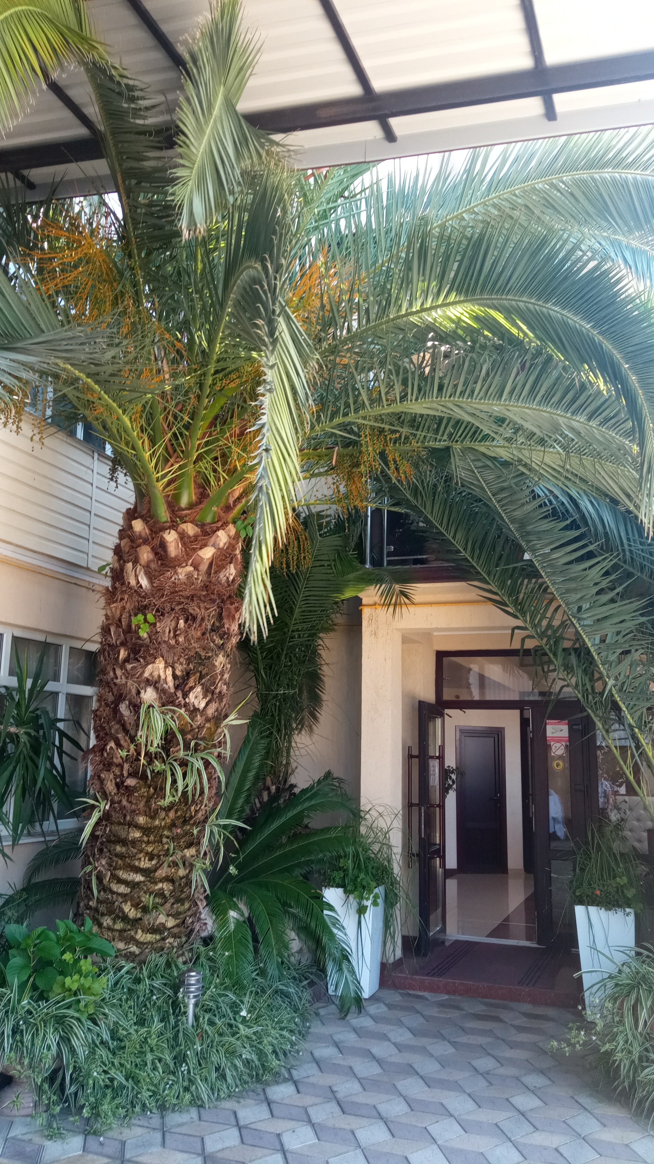 Фото Кристи