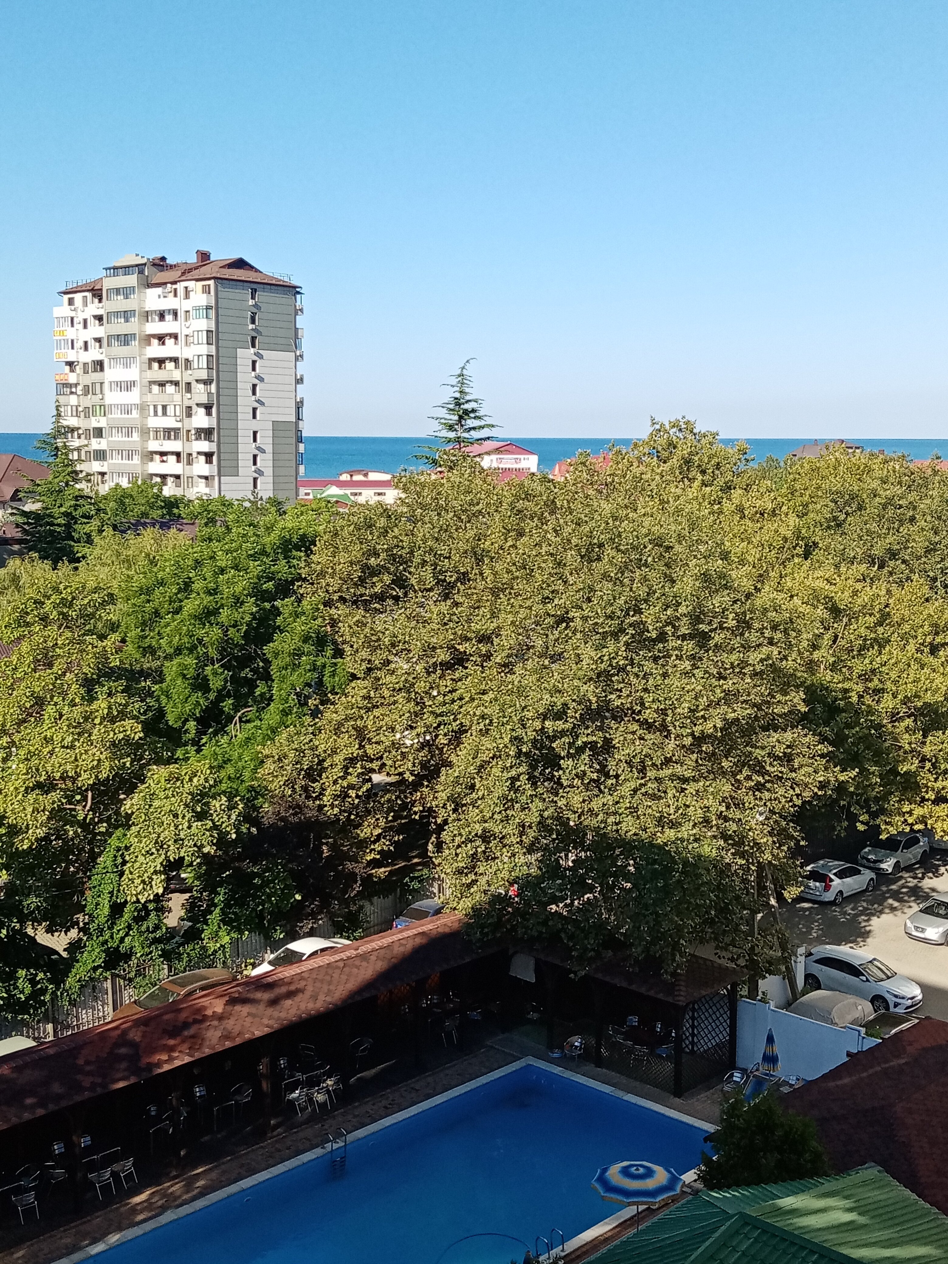 Фото Кипарис