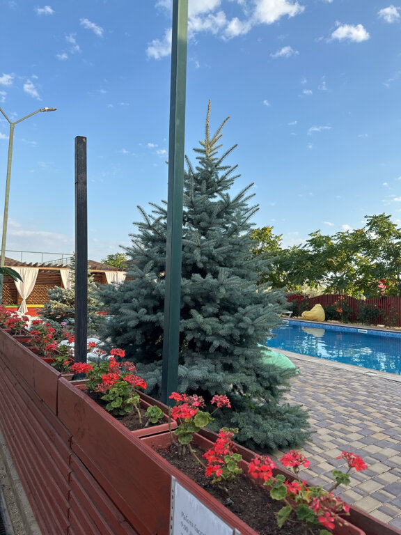 Фото Квитка