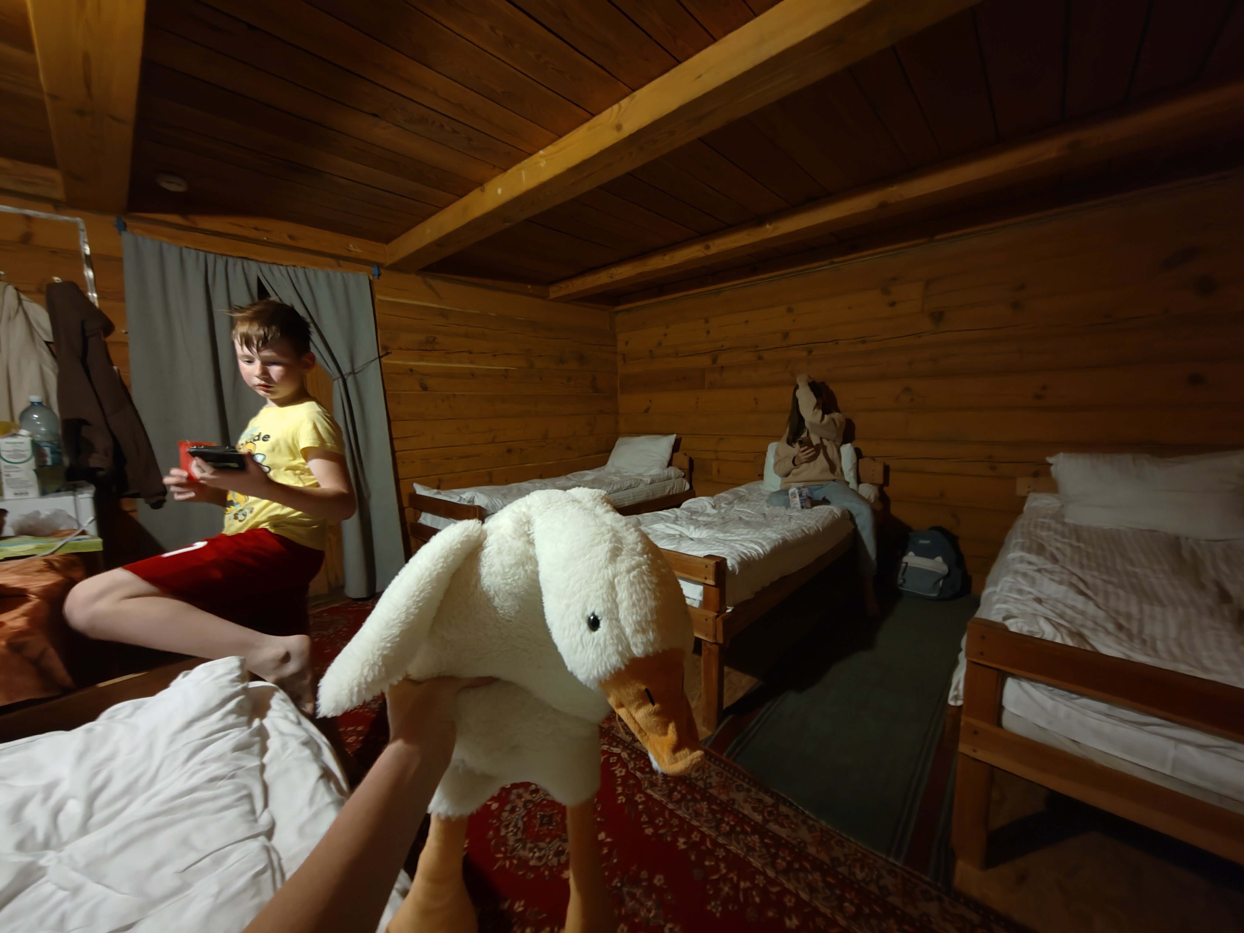 Фото Золотая пчела