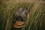 Duck Boats (Khimicheskiy Lane, 8), boats, motor boats, yachts