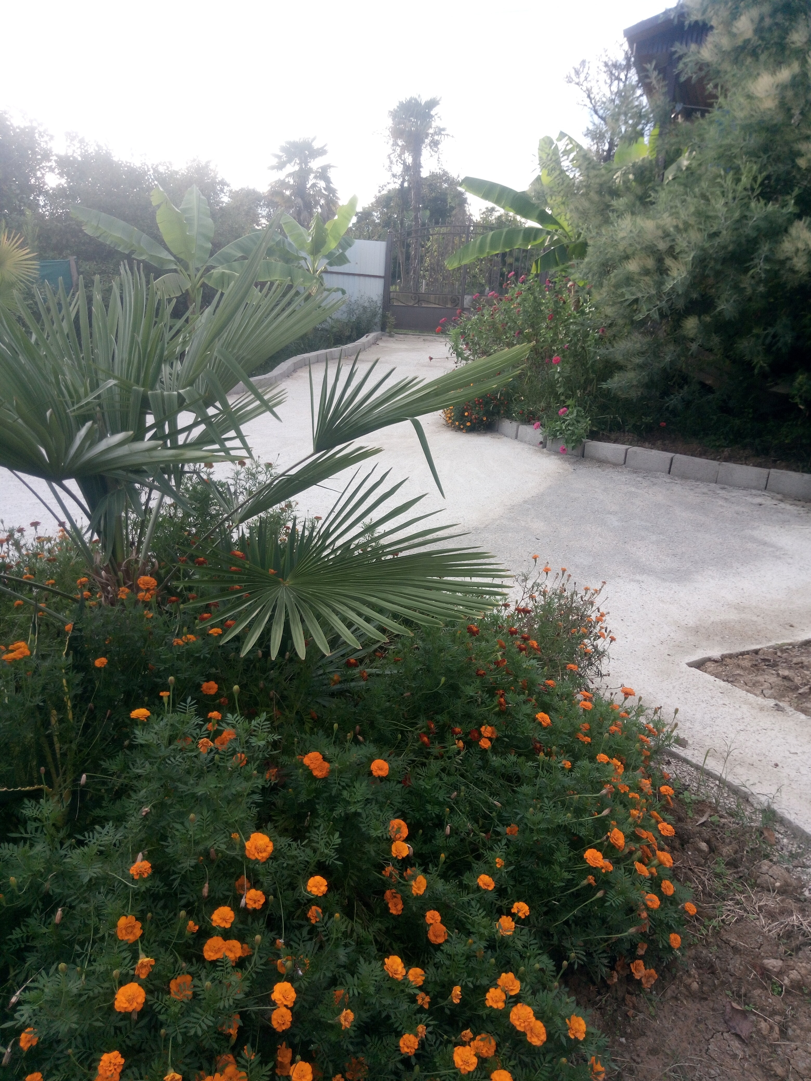 Фото У Комаровых