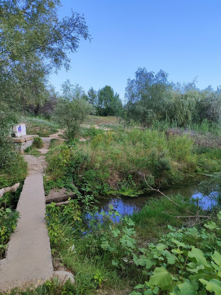 Spring, stream Ельшанский родник, Volgograd Oblast, photo