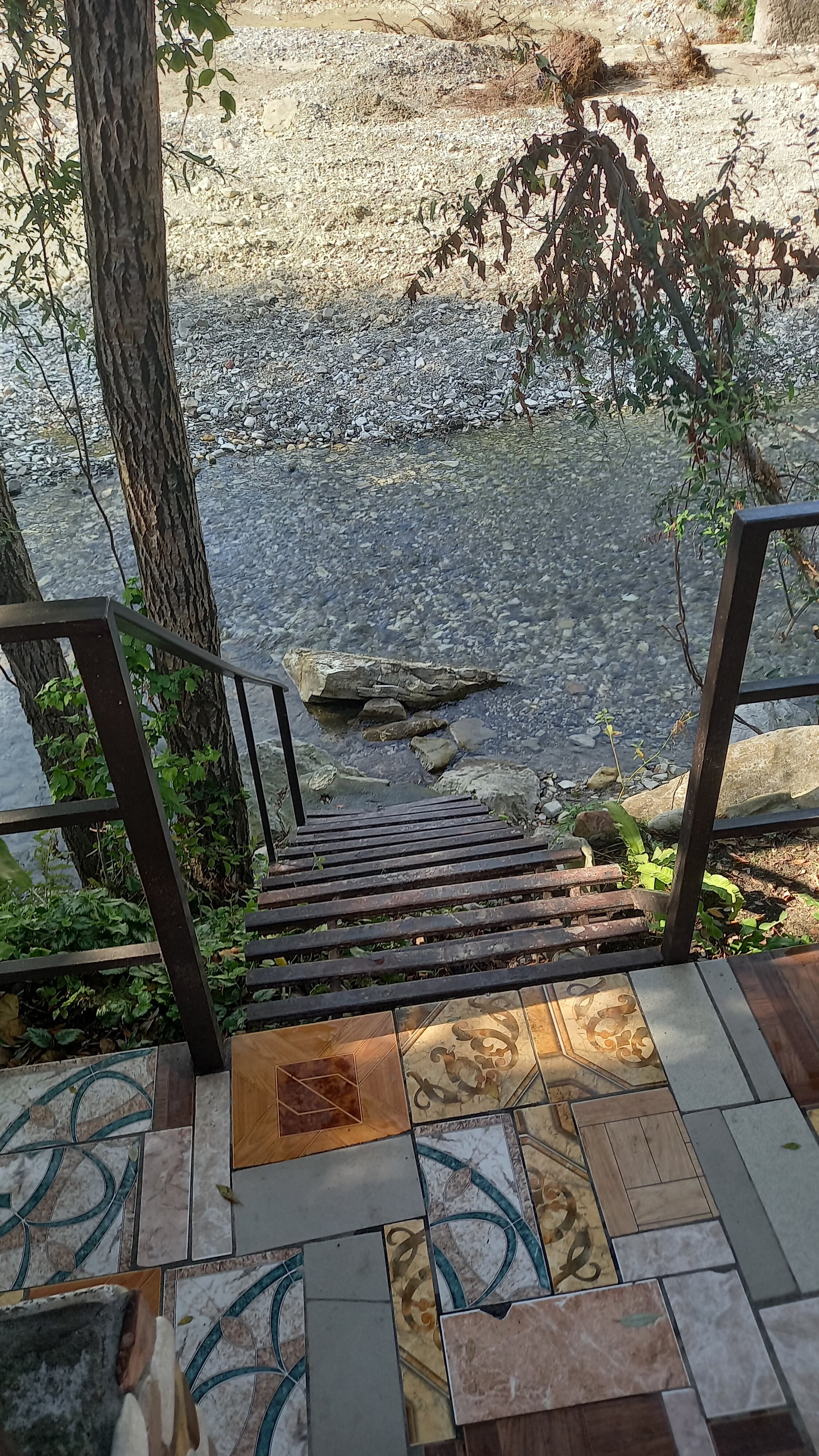 Фото Вероника