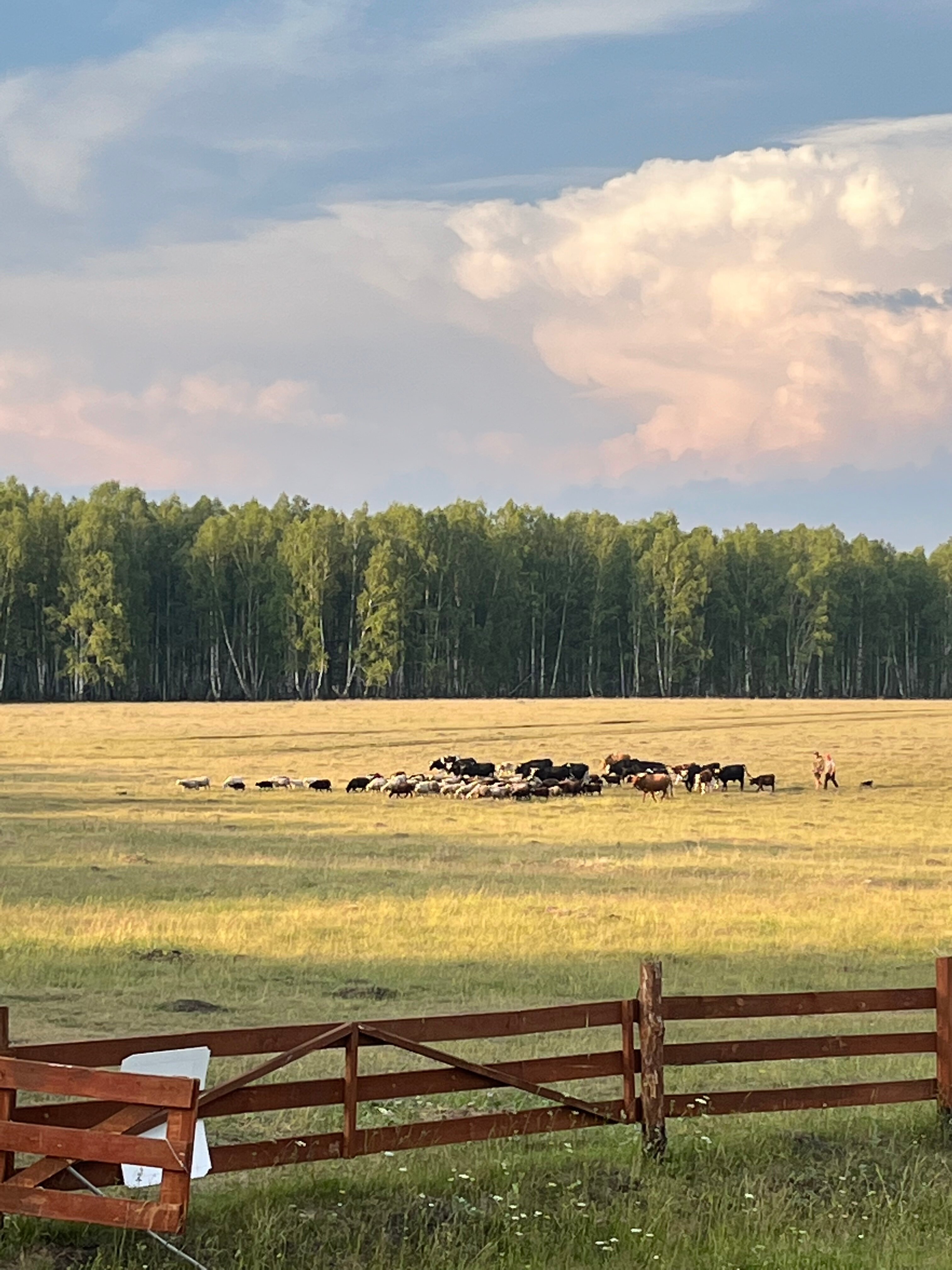 Фото Шайтан Кудей