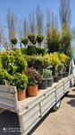 Ботаник (село Перевальное, Дачная улица, 19), garden center