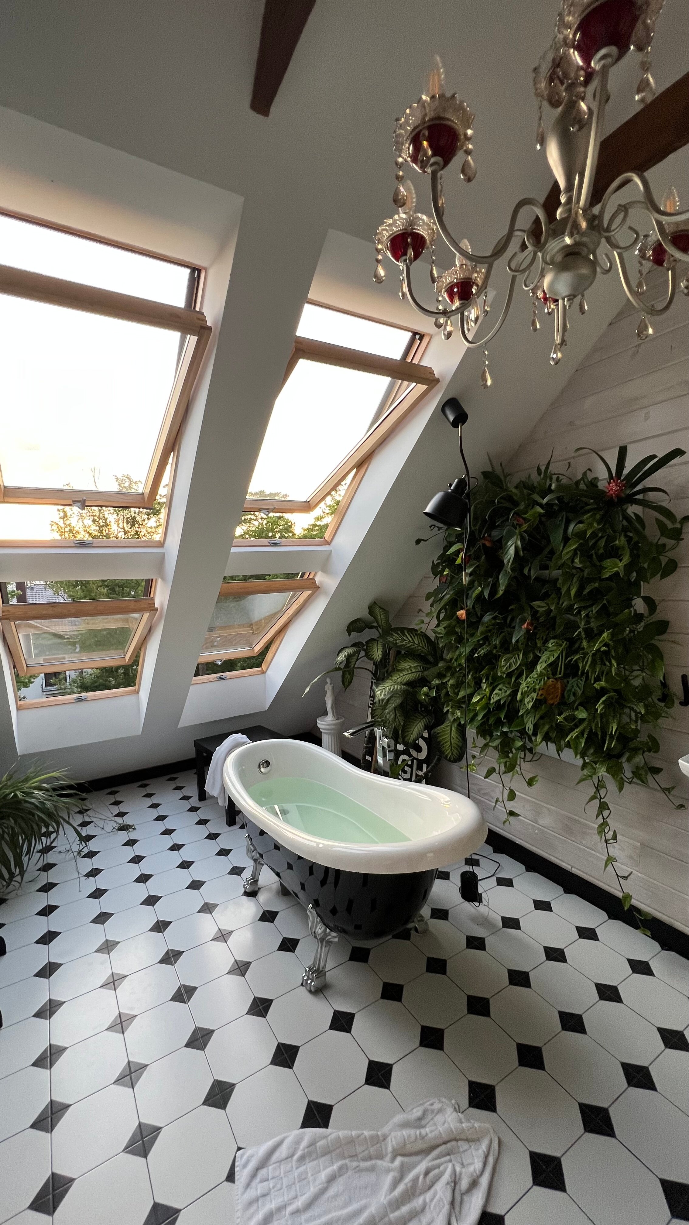 Фото Раушен