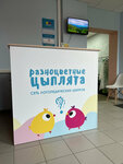 Разноцветные цыплята (Krasnogo Znameni Avenue, 117Д), speech therapists