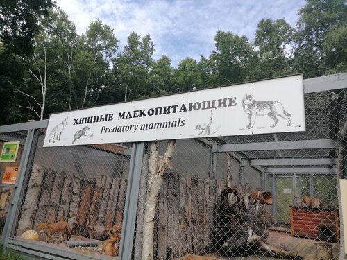 Зоопарк Сахалинский зооботанический парк, Южно‑Сахалинск, фото
