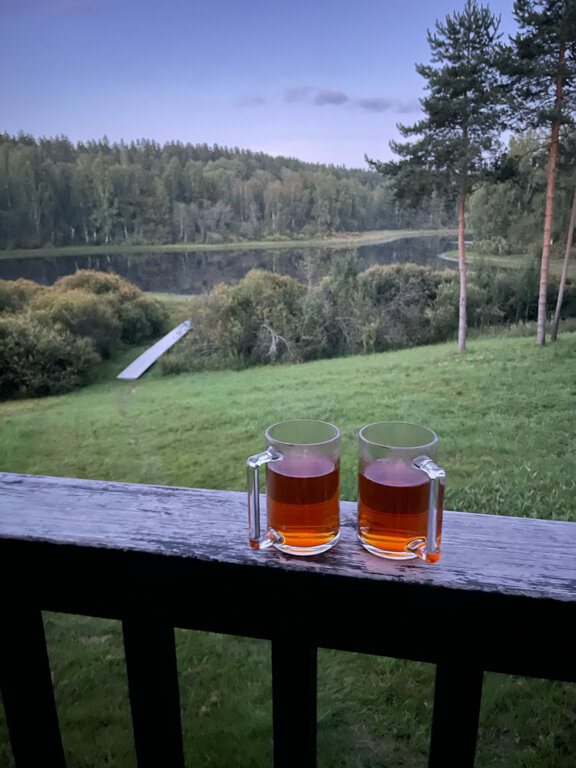 Фото Дом в лесу Холмово