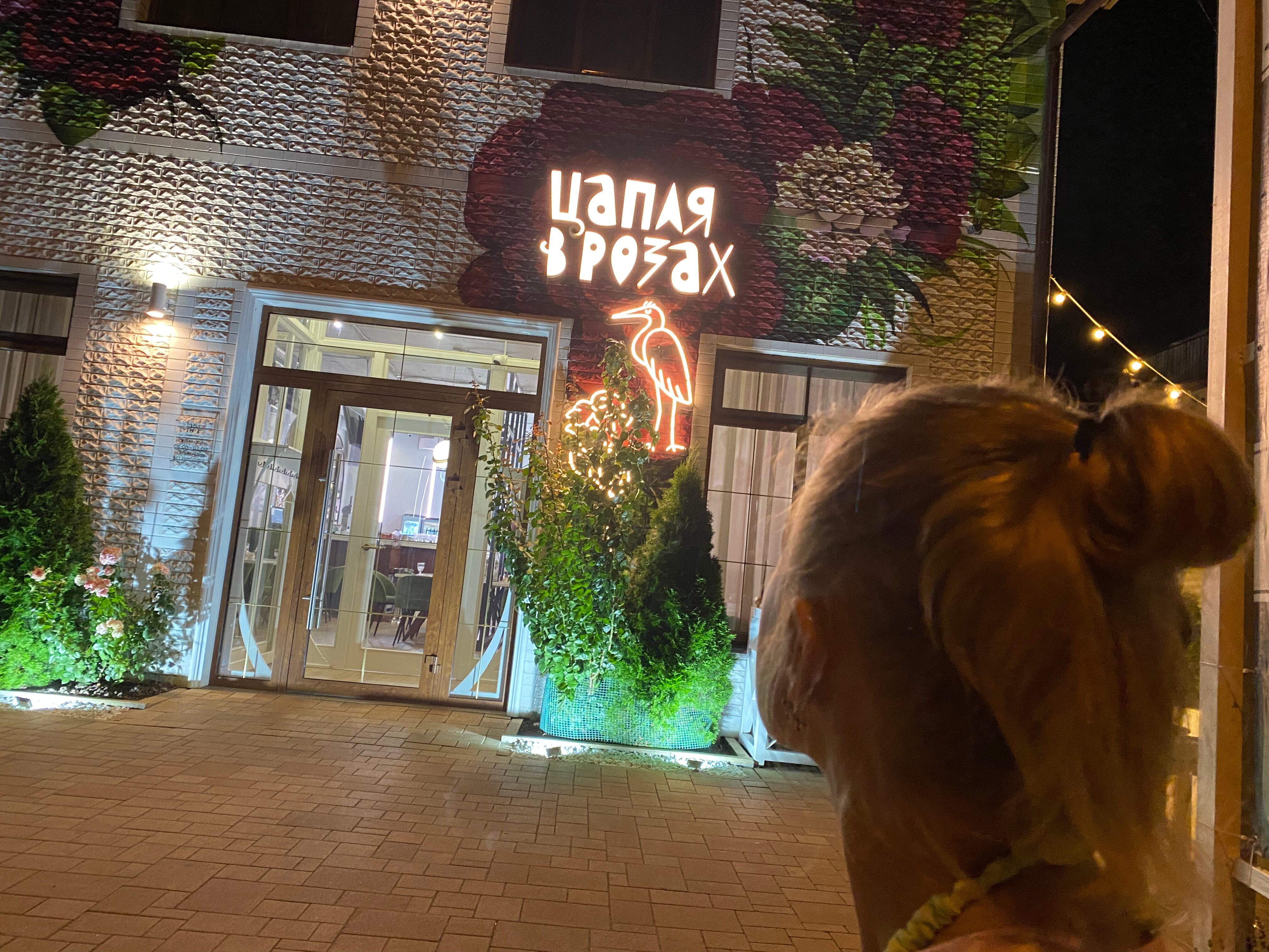 Фото Династия