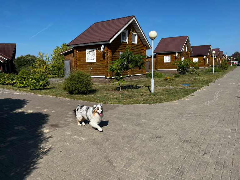 Фото Волшебная Заводь