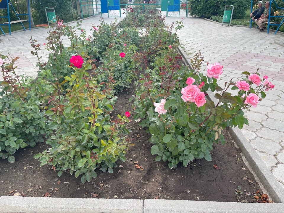 Фото Три Короны