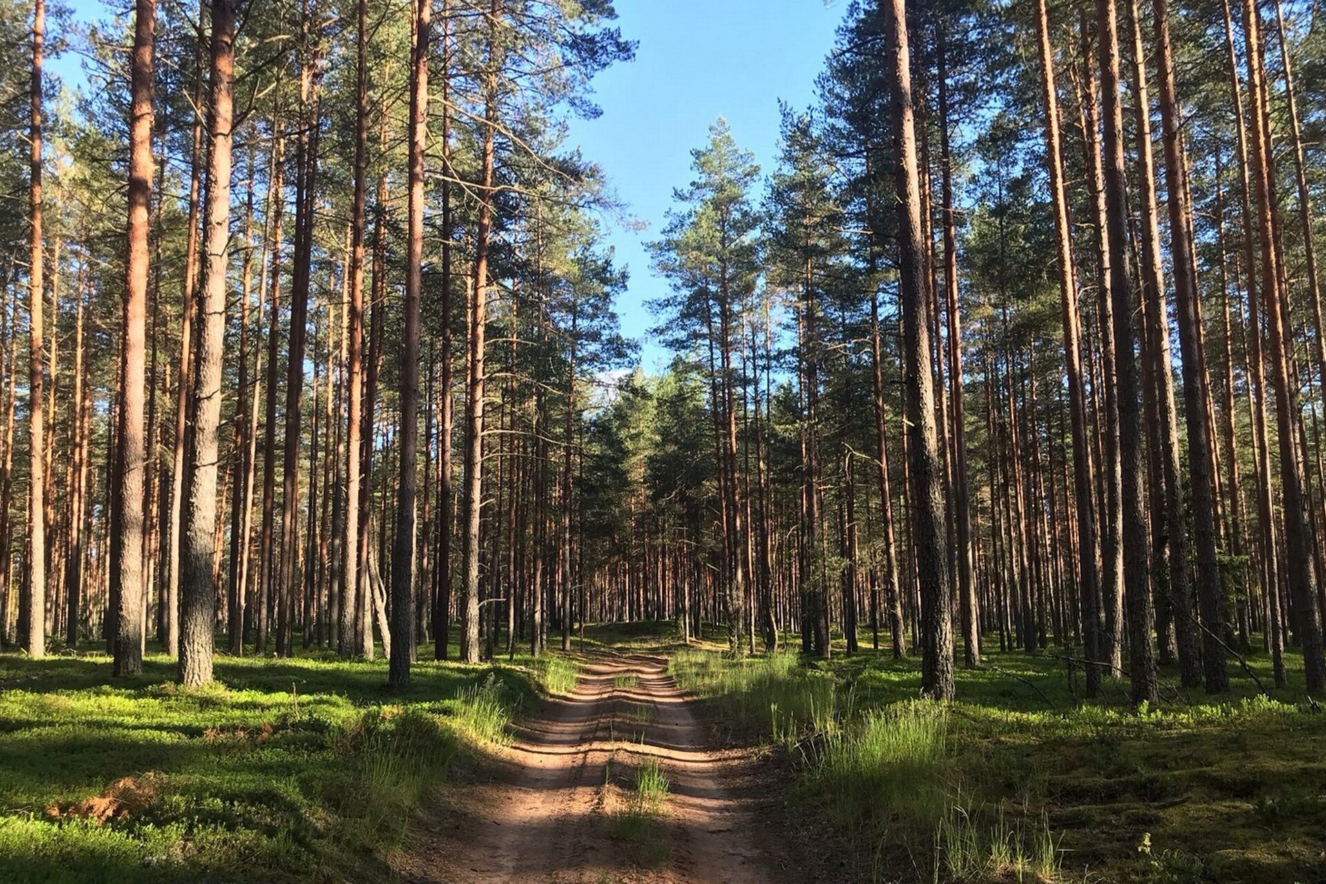 Фото Усадьба Родное