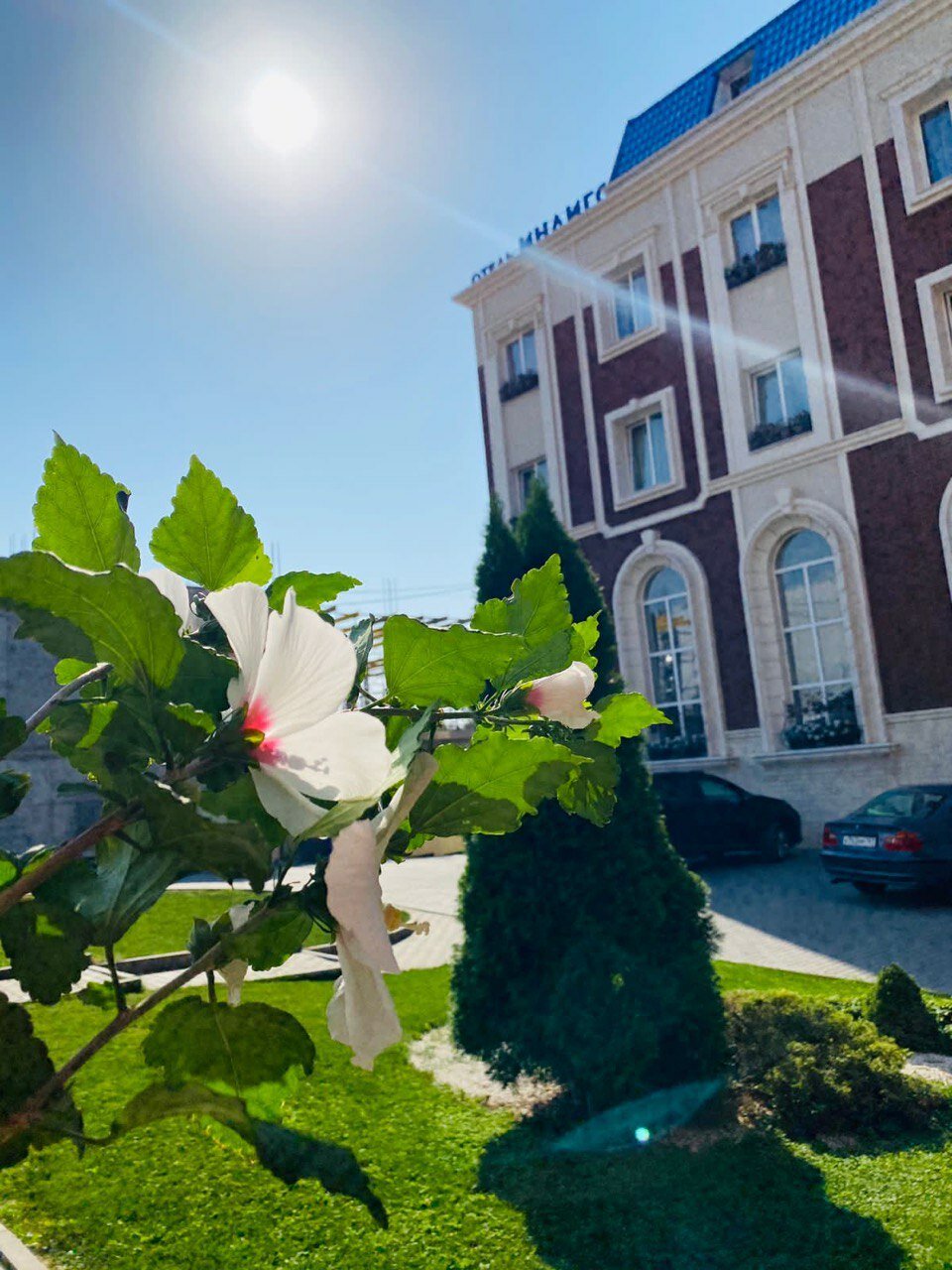 Фото Индиго