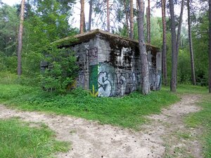 Бункер Bärenhöhle (муниципальное образование Смоленск, Заднепровский район, лесопарк Красный бор), достопримечательность в Смоленске