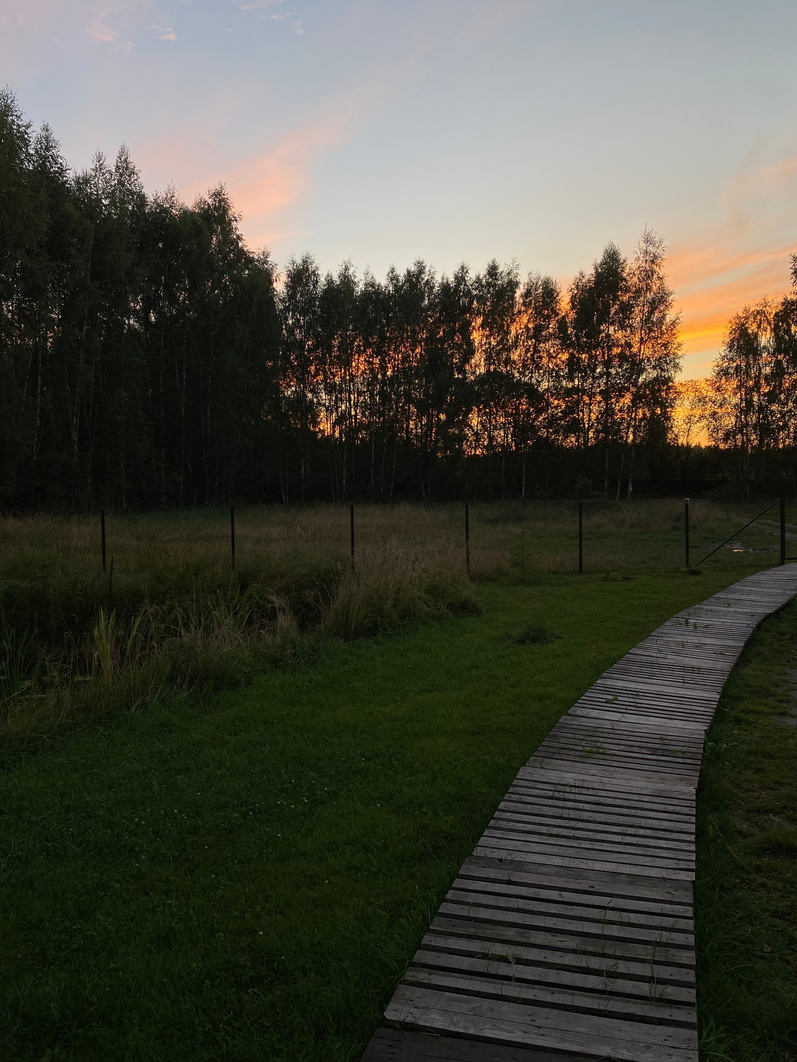 Фото The Поле