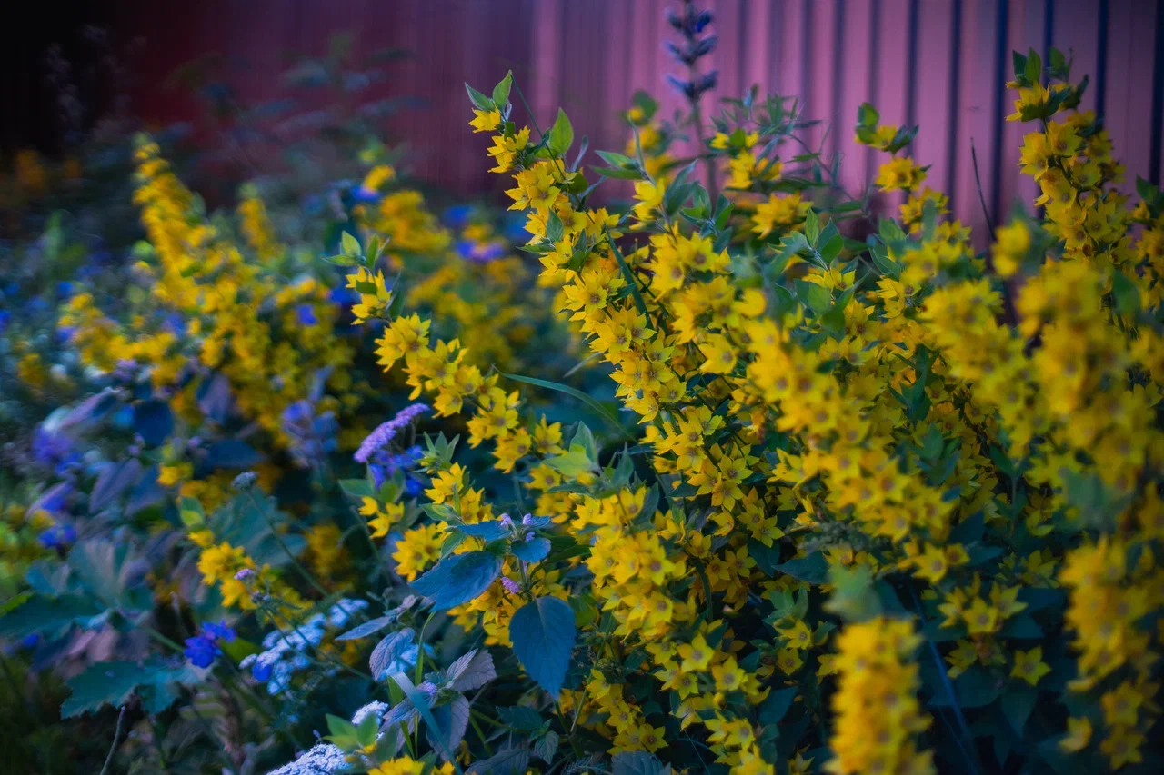 Фото Вилла Позитив