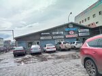 Toyota (Lenina Avenue, 201), auto parts and auto goods store