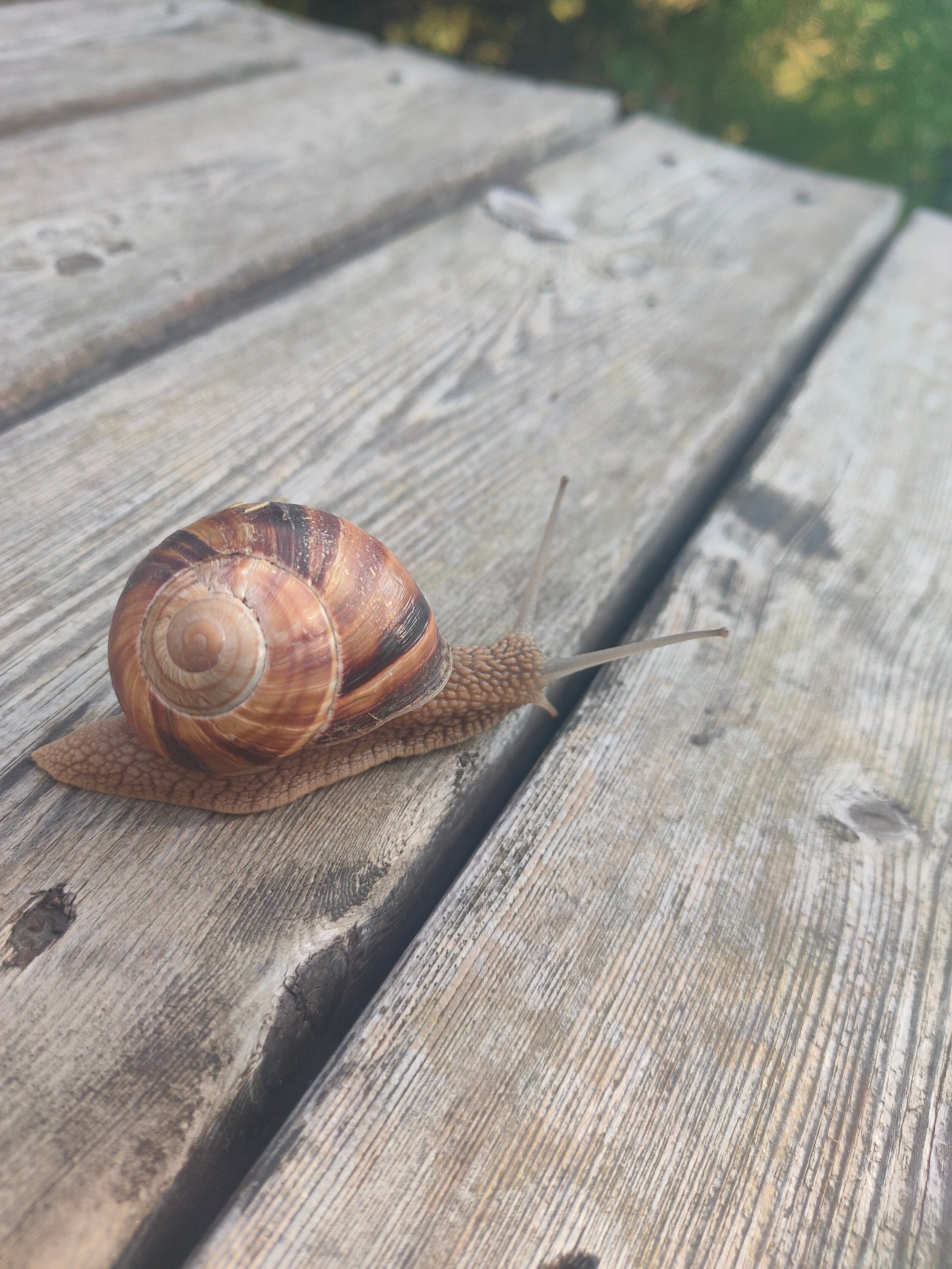 Фото Богатое ущелье