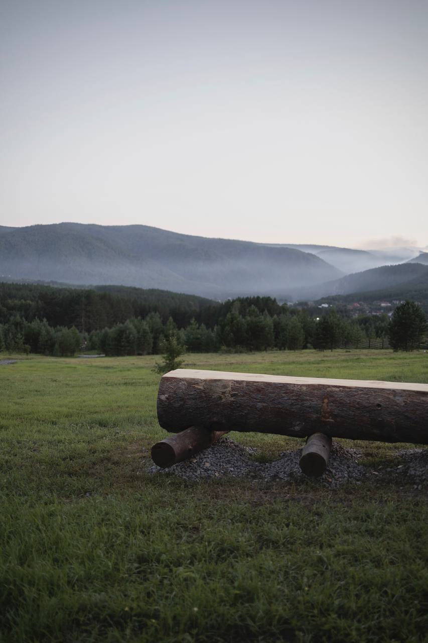 Фото Блэк пайн