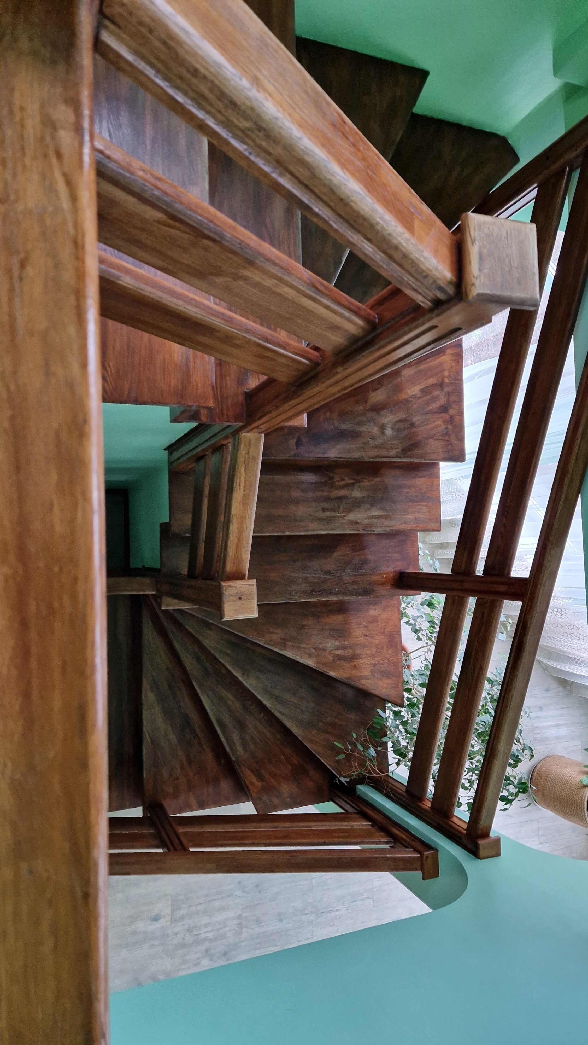 Фото Антариус