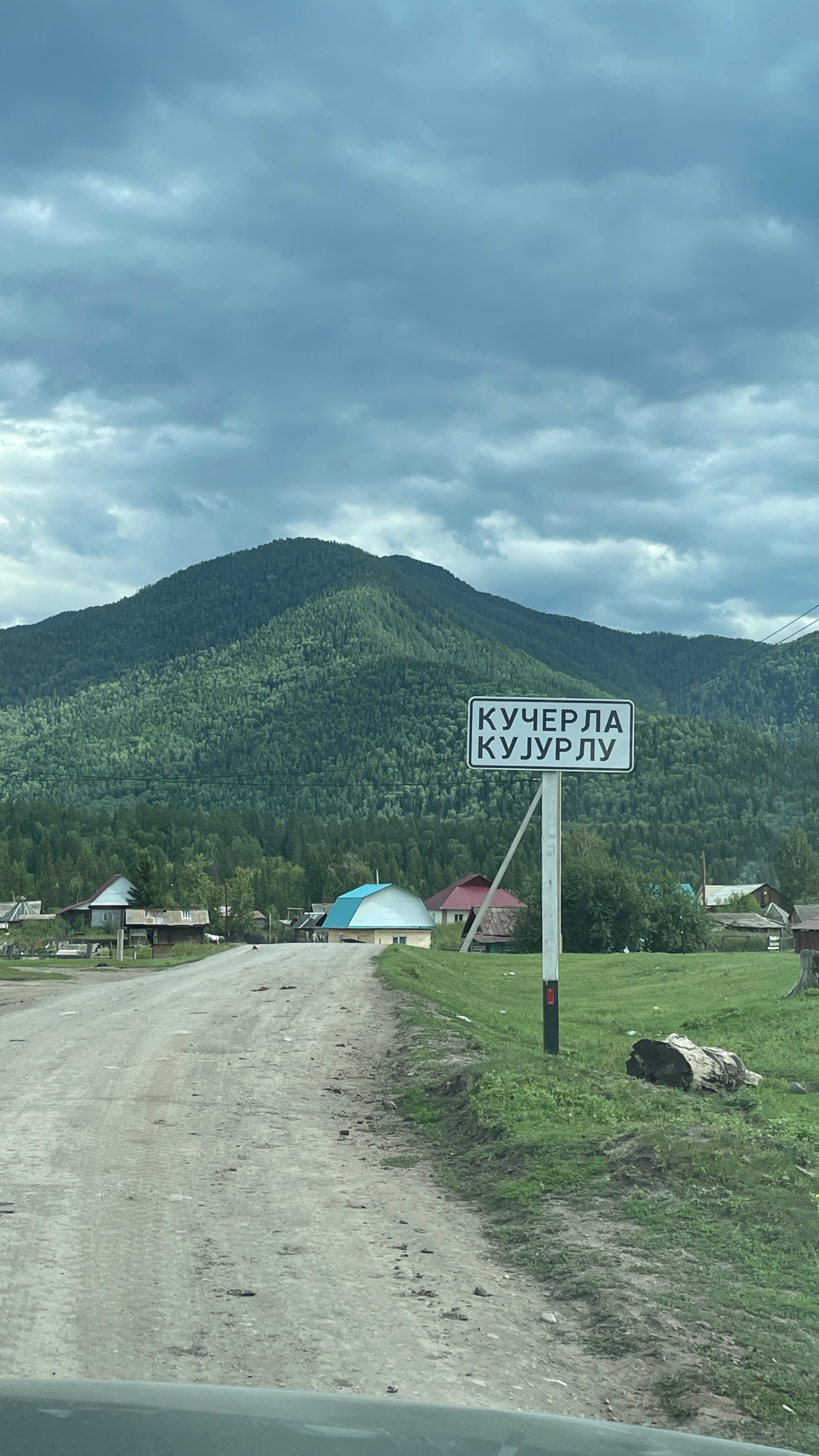 Фото Еловая опушка